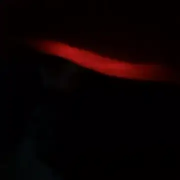 Snapshot of yaocaobi8 chatting on 19, 3, 2026 yaocaobi8 online show from 19, 3, 2026