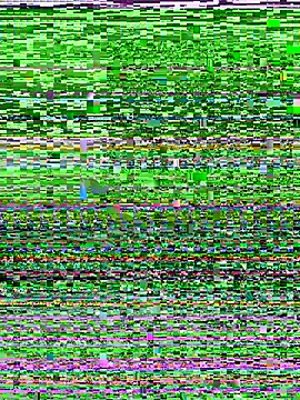 Snapshot of D_SnowL chatting on 10, 7, 2026 D SnowL online show from 10, 7, 2026