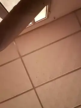 darwinmodell online show from 28, 12, 2024