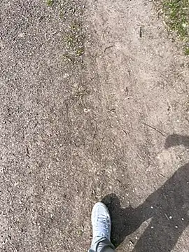 aras  25 online show from 9, 4, 2026