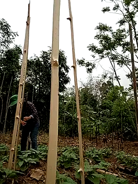 lyly sexx online show from 1, 4, 2026