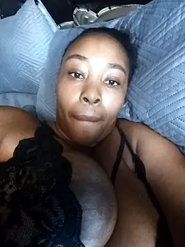 Catpili online show from 7, 3, 2026