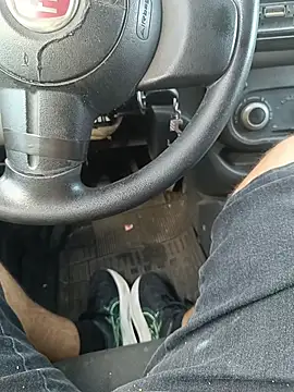 UrsoBissexualPauGrosso online show from 1, 3, 2026