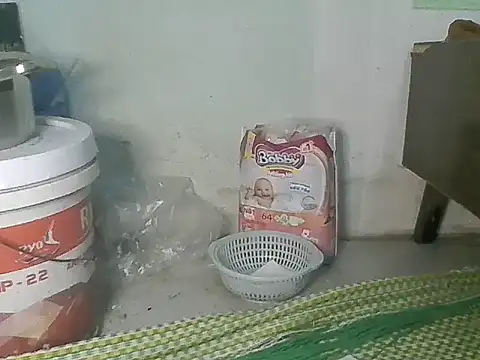 Fish sexy online show from 28, 3, 2026