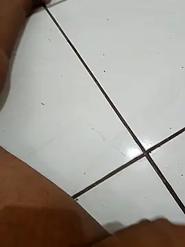 Dheik online show from 2, 3, 2026