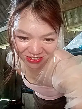 dualeo11 online show from 26, 3, 2026