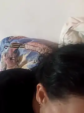 lapatronav2026 online show from 5, 4, 2026