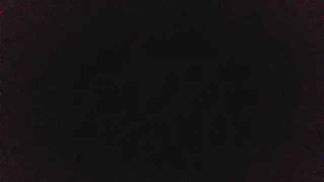 pinkycat online show from 8, 4, 2026