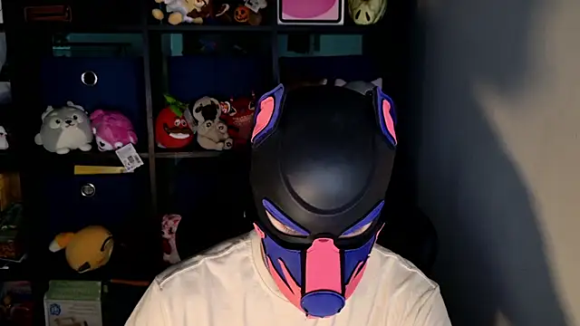 MellPUP online show from 19, 6, 2026