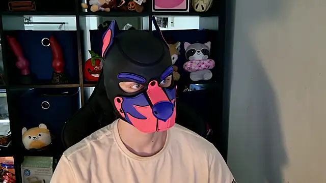 MellPUP online show from 30, 6, 2026