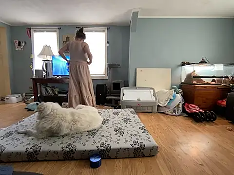 highimmaryjane online show from 25, 3, 2026