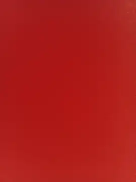 Snapshot of nayades_ricci chatting on 6, 8, 2026 nayades ricci online show from 6, 8, 2026