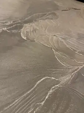 sharks90 online show from 21, 4, 2026