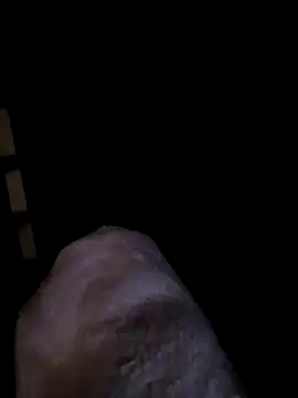 transrandi69 online show from 8, 3, 2026