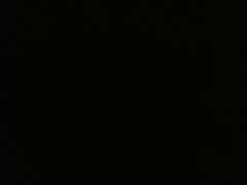 Alex Wolft online show from 7, 4, 2026