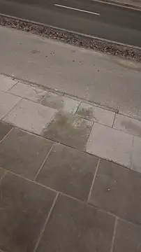 PublicMarekFlashDick online show from 12, 3, 2026