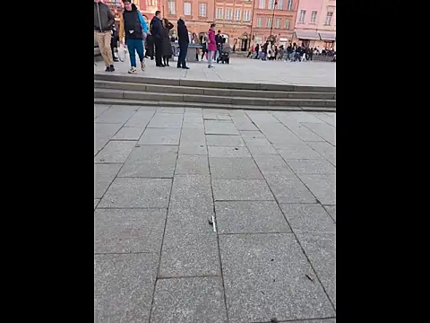 PublicMarekFlashDick online show from 14, 3, 2026