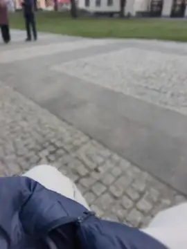 PublicMarekFlashDick online show from 28, 3, 2026