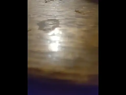 pit4296 online show from 28, 4, 2026