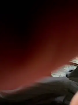  Euphoria 57 online show from 18, 3, 2026