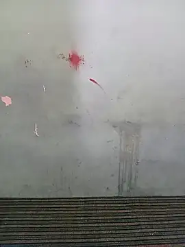 School teacher12 online show from 28, 3, 2026