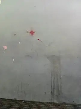 School teacher12 online show from 15, 4, 2026