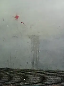 School teacher12 online show from 19, 4, 2026