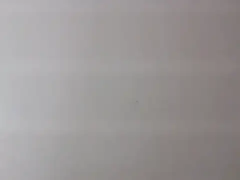 Zurii  online show from 12, 4, 2026