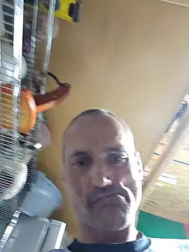 Brunogramata online show from 20, 3, 2026