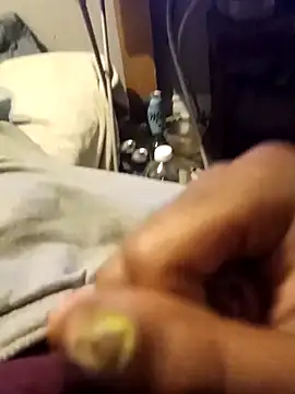 mrbigggiess online show from 20, 3, 2026