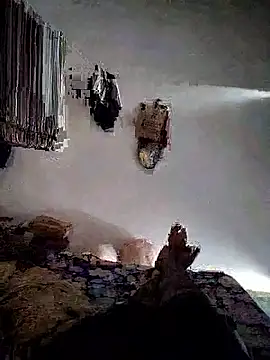 roselover2222 online show from 29, 3, 2026