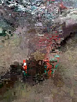 Alimohamed08 online show from 25, 3, 2026