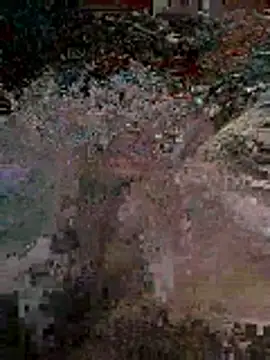 Alimohamed08 online show from 5, 4, 2026