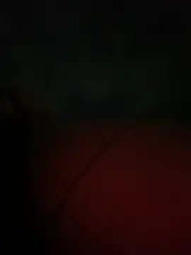 Valerials online show from 14, 4, 2026