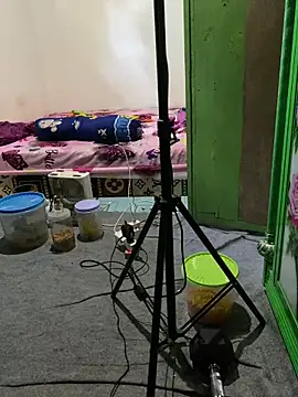 tukangcoli31 online show from 13, 4, 2026