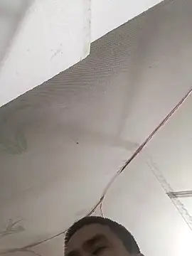 Tinh love online show from 11, 4, 2026