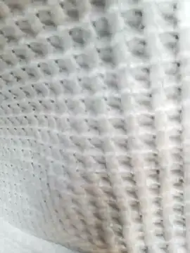 Aurora Nova online show from 25, 3, 2026