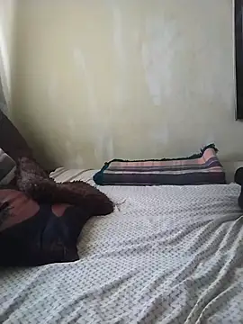 SteedyGee online show from 24, 5, 2026