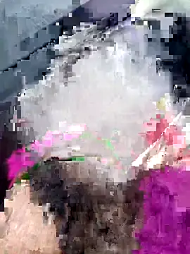 Sarita-sousou online show from 1, 4, 2026