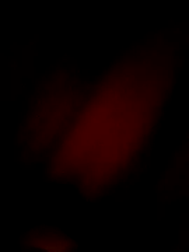 Eivar003 online show from 3, 4, 2026