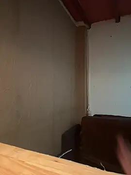 minibro1234vip online show from 6, 4, 2026