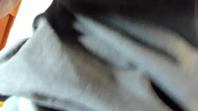pipe monstercock online show from 21, 5, 2026