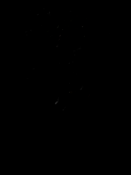 Snapshot of Rocky_pune chatting on 8, 4, 2026 Rocky pune online show from 8, 4, 2026