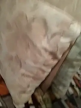 perfect vicy online show from 7, 4, 2026