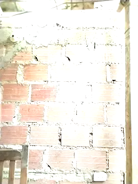 sienna elara online show from 29, 4, 2026