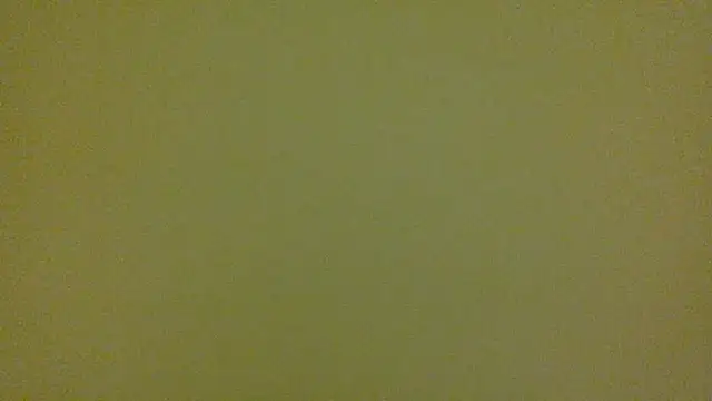 average jack online show from 16, 4, 2026