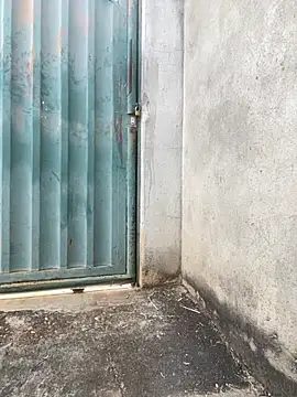 Showwspordezreais online show from 23, 4, 2026