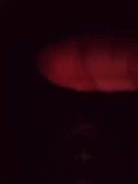 desibullboybd online show from 29, 4, 2026