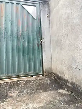 gozarpordez2 online show from 24, 4, 2026