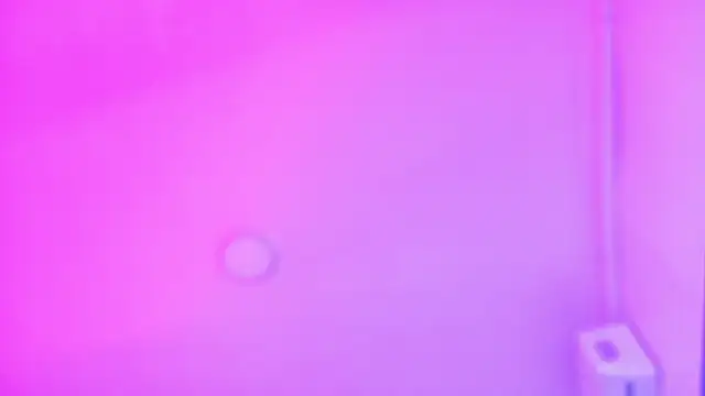 Snapshot of LexaDominant__ chatting on 16, 7, 2026 LexaDominant online show from 16, 7, 2026